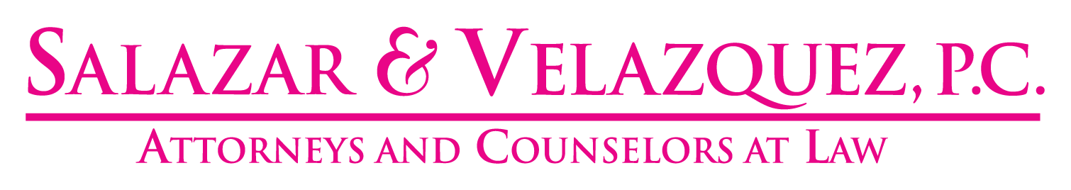 SV Logo (Horizontal) All Pink
