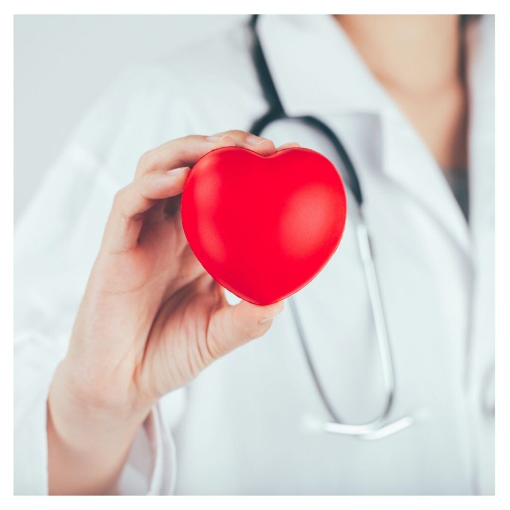 A doctor holding up a toy heart