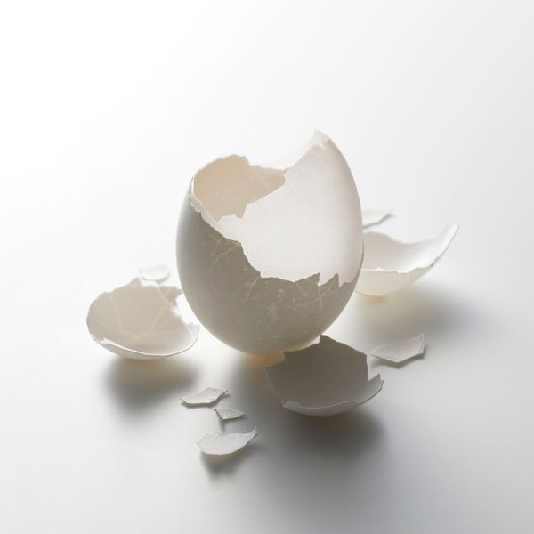 A broken egg shell