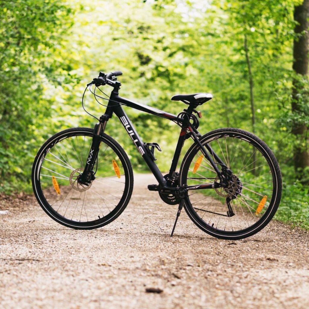ebike